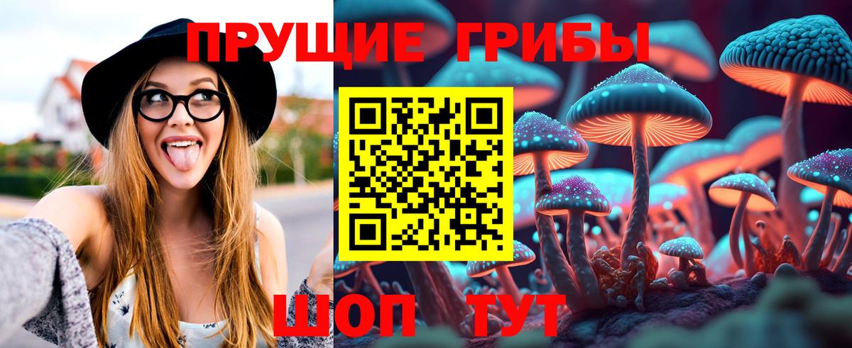 Псилоцибиновые грибы Psilocybine cubensis Татарск